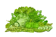 体育分类 - MK体育
